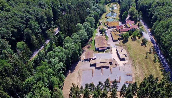Überblick über eine ländliche Landschaft mit Wäldern und Gebäuden