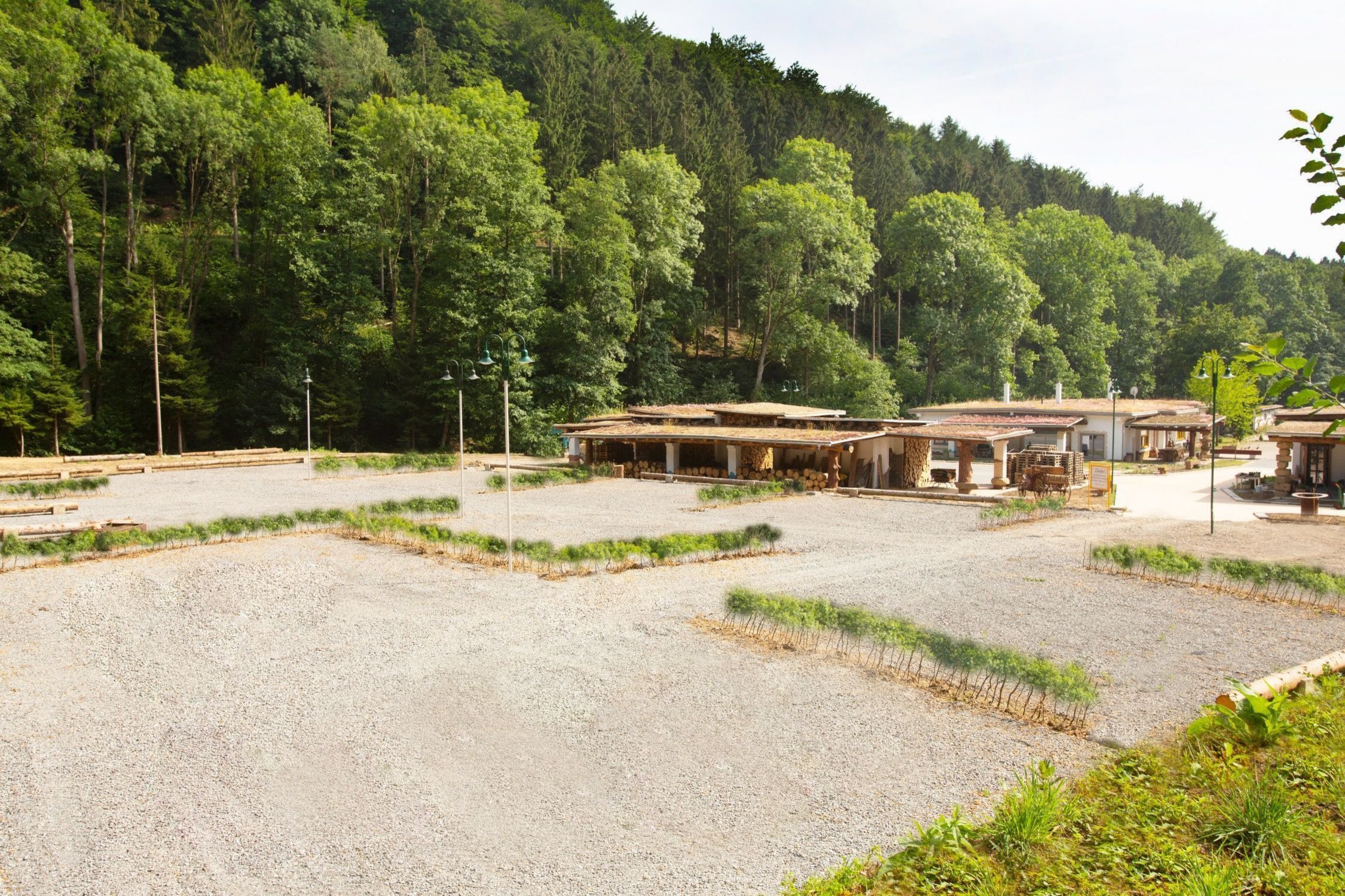 Baustelle oder ungenutzte Fläche in einer bewaldeten Umgebung