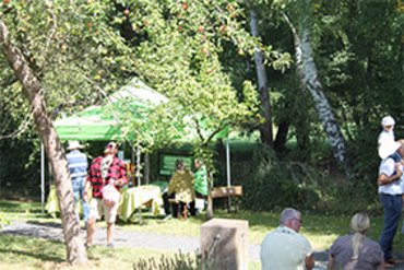 Leute besuchen einen Marktstand in einer grünen Umgebung