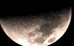 Mond